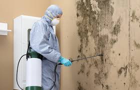 Professional Mold Removal & Remediation in Claycomo, MO